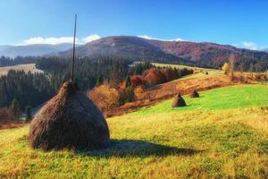 journée fantastique avec des collines fraîchement fleuries au soleil photo