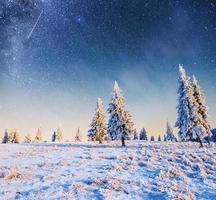 randonnée des étoiles laitières dans les bois d'hiver. photo