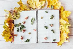 feuilles d'érable jaunes et cahier supérieur avec fleurs séchées photo