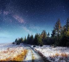 randonnée des étoiles laitières dans les bois d'hiver. sc dramatique et pittoresque photo