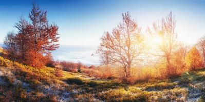 soleil fantastique le matin. brouillard dans la montagne photo