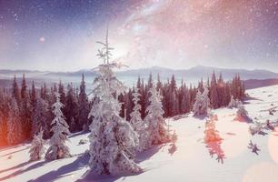 randonnée des étoiles laitières dans les bois d'hiver. sc dramatique et pittoresque photo