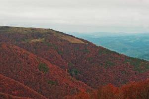 paysage d'automne rouge coloré dans la montagne. matin brumeux dans les carpates à pylypets, borzhava, ukraine photo