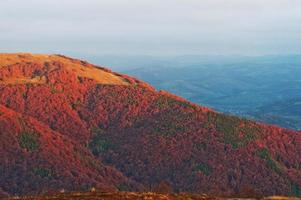 paysage d'automne rouge coloré dans la montagne. Montagne du matin brumeux éclairée par le soleil dans les carpates à pylypets, borzhava, ukraine photo