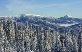 paysage d'hiver mystérieux montagnes majestueuses photo