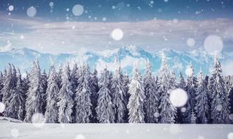 paysage d'hiver mystérieux montagnes majestueuses dans. magie photo