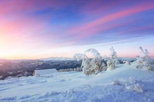 mystérieux paysage d'hiver montagnes majestueuses dans