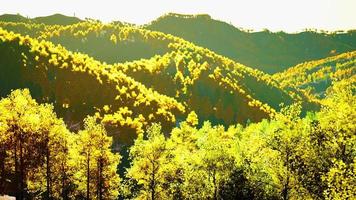 vue sur la forêt d'automne dans les montagnes et le ciel bleu de la suisse photo