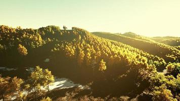 vue sur la forêt d'automne dans les montagnes et le ciel bleu de la suisse photo