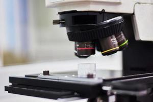 microscope pour la recherche et le développement dans les laboratoires d'usines industrielles