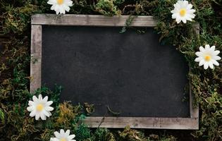 fond de printemps. tableau avec des fleurs de marguerite sur des décorations en bois fleur de printemps photo