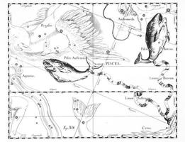 constellation astronomique des poissons sur fond blanc photo