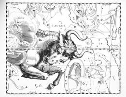 constellation astronomique du taureau sur fond blanc