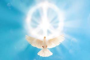 colombe blanche volant vers le nuage en forme de signe de pacification pour le concept de liberté et la journée internationale de la paix, priez pour l'ukraine et pas de concept de guerre photo