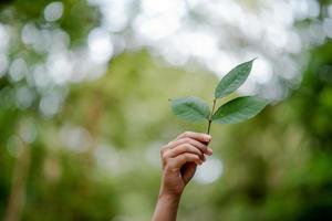 les mains et la nature aiment l'amour brillant doivent se donner de l'amour et de la beauté de manière naturelle. photo