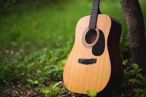 guitare dans la forêt prendre une guitare dans la forêt. photo