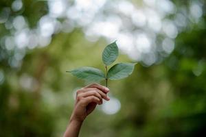 les mains et la nature aiment l'amour brillant doivent se donner de l'amour et de la beauté de manière naturelle. photo