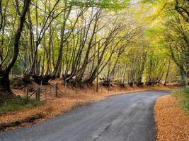 scène automnale dans la campagne du sussex photo