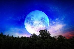 arbre silhouette et lune dans l'espace bleu. incroyable affichage de couleur bleue et rouge dans le ciel. ciel nocturne de fond avec étoiles, lune et cosses. l'image de la lune d'une beauté incomparable. photo
