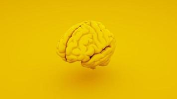 cerveau humain, modèle anatomique isolé sur fond jaune. illustration 3d photo