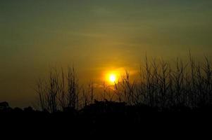 ciel et soleil bleu et orange dans le ciel en été. photo