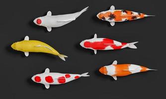 un groupe de poissons koi blancs à rayures rouges. merde fantaisie en or et orange en noir. rendu 3d photo