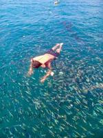 de nombreux poissons pullulent autour des touristes dans la mer. plongée en apnée à la surface de l'eau. visite marine pour voir la vie aquatique à rayong, en thaïlande. photo