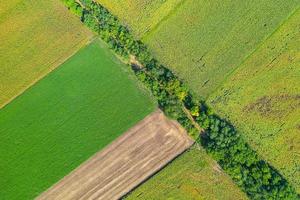 fond de champs avec différents types d'agriculture avec ligne d'arbres. vue aérienne de dessus, industrie alimentaire, agriculture, terres agricoles photo