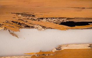 escaliers de la maison qui ont été piqués par les termites. le bois a été cassé car il a été détruit par les termites. photo