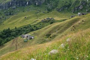 ferme près de l'alpe pianmisura piémont italie photo