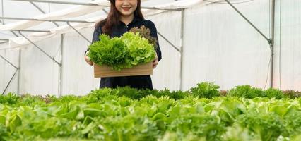les agricultrices asiatiques récoltent des salades de légumes frais dans des fermes de systèmes de plantes hydroponiques dans la serre pour les commercialiser. concept de légumes frais et d'aliments sains. commerce et industrie agricole. photo