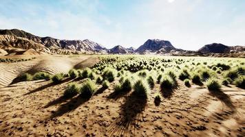 belle dune de sable orange jaune dans le désert d'asie centrale photo