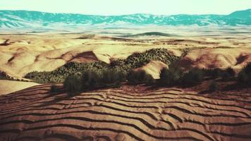 désert de pierre dans l'arrière-pays australien photo