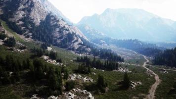 vue aérienne de la forêt de conifères verte dans les montagnes photo