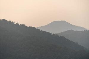 brume matinale dans la forêt tropicale photo