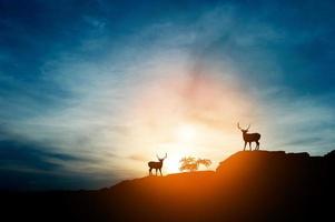 la silhouette de la montagne, le leadership d'équipe, le travail d'équipe et le travail d'équipe et le plaisir du concept de silhouette photo