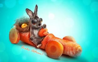 drôle de lapin de Pâques. concept de joyeuses fêtes de pâques. photo