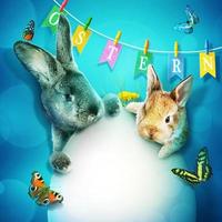 drôle de lapin de Pâques. concept de joyeuses fêtes de pâques. photo