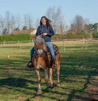 chevaux en liberté photo