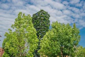 milan italie 2019 milan forêt verticale photo