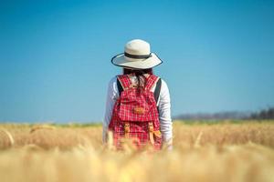 jeune femme debout sur un fond de champ de blé doré. photo