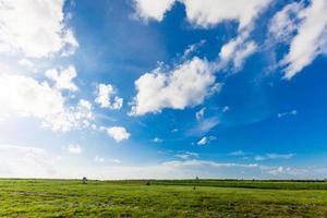 champ vert sous le ciel bleu photo