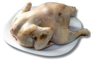 poulet dans une assiette blanche photo