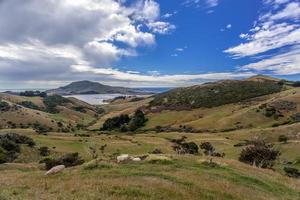 la péninsule d'otago nouvelle zélande photo