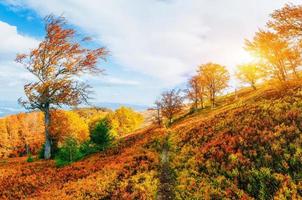 massif rocheux des Carpates. photo