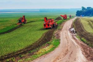 tracteurs travaillant dans le champ photo