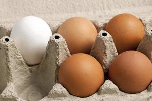 vue rapprochée des œufs de poulet crus bruns et blancs dans une boîte, blanc d'œuf, œuf photo