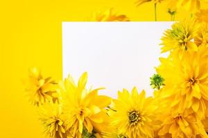 carte de voeux vierge dans un cadre de fleurs jaunes. photo