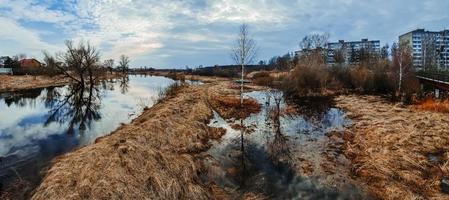 marécages du nord au début du printemps. randonnée écologique. photo