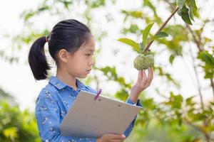 petite fille mignonne vérifiant les fruits thaïlandais et écrivant un document d'enregistrement dans une ferme, apprenant en dehors des concepts de la salle de classe. photo